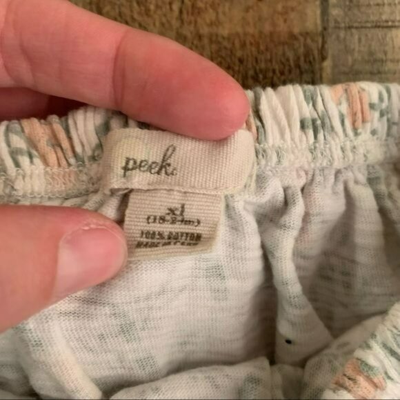 Peek toddler baby unisex koala pull on shorts with elastic band and legs -18/24 - Picture 4 of 6